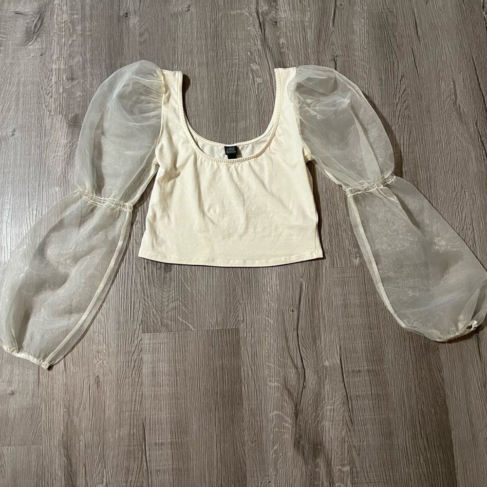 Cream White Long Puff Mesh Sleeve Top